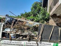 Best Donation Pickup Services  in San Benito, TX