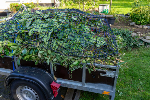 Best Yard Waste Removal  in San Benito, TX